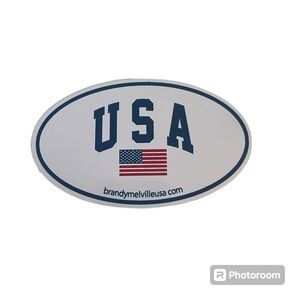 🇺🇸 Set of 10 Brandy Melville USA Stickers